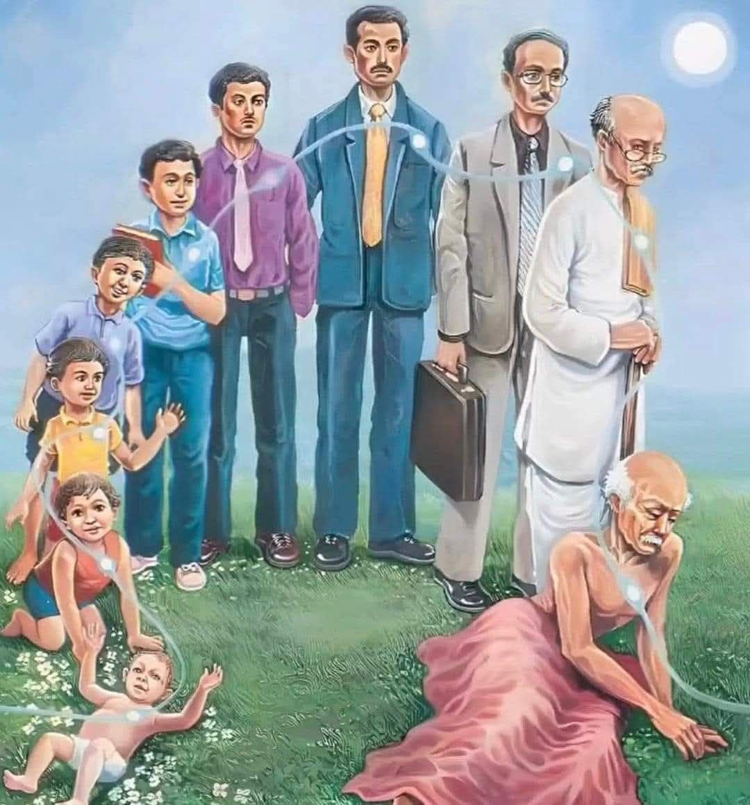 IMG_20250206_184412_250