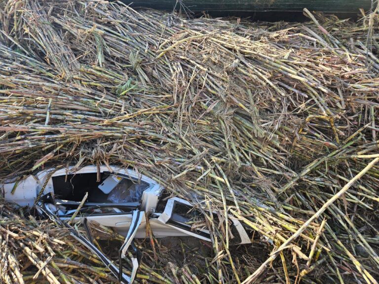 IMG_20250206_221141_158