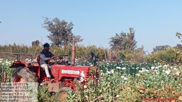 IMG_20250208_204338_066