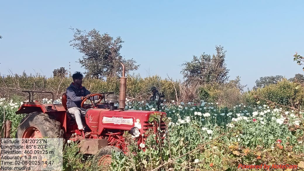 IMG_20250208_204338_066