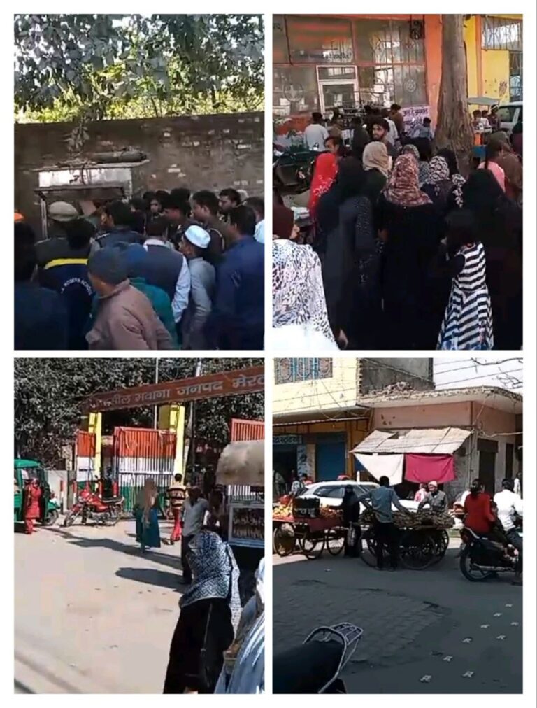 IMG_20250210_142658_133