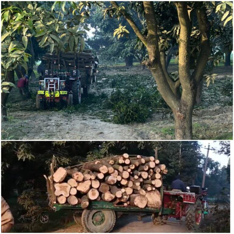 IMG_20250210_143109_704