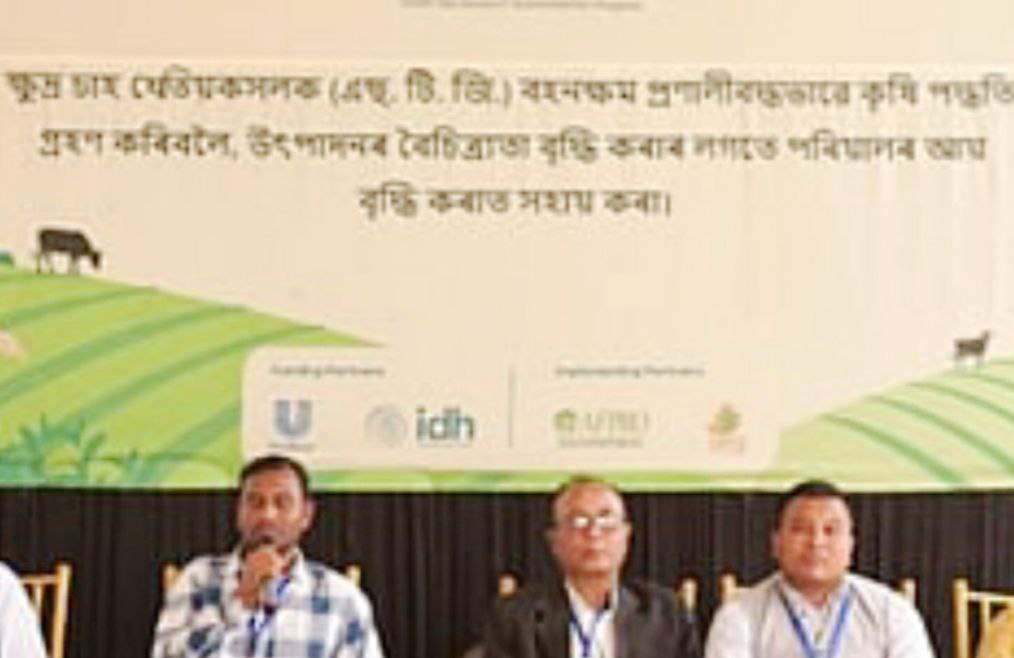 IMG_20250211_172346_661