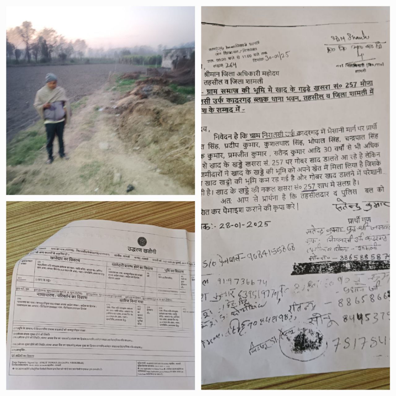 IMG_20250211_173146_983