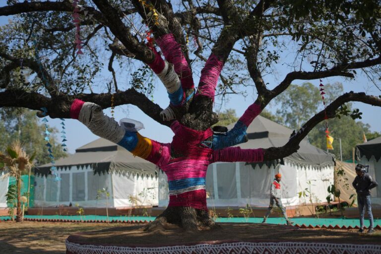 IMG_20250211_174900_583