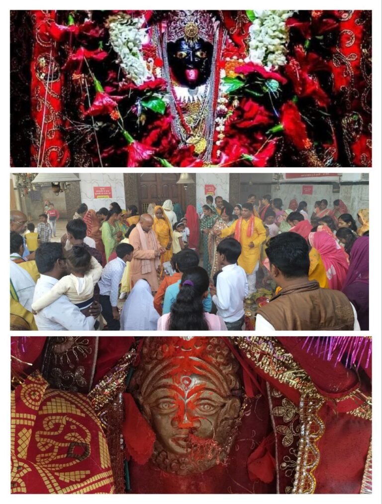 IMG_20250212_162340_079