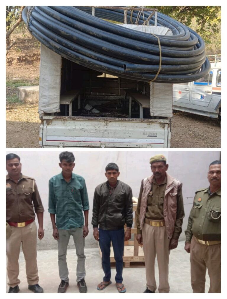 IMG_20250212_185354_807