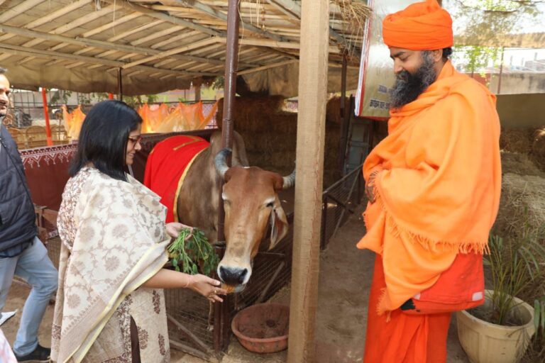 IMG_20250212_200516_997