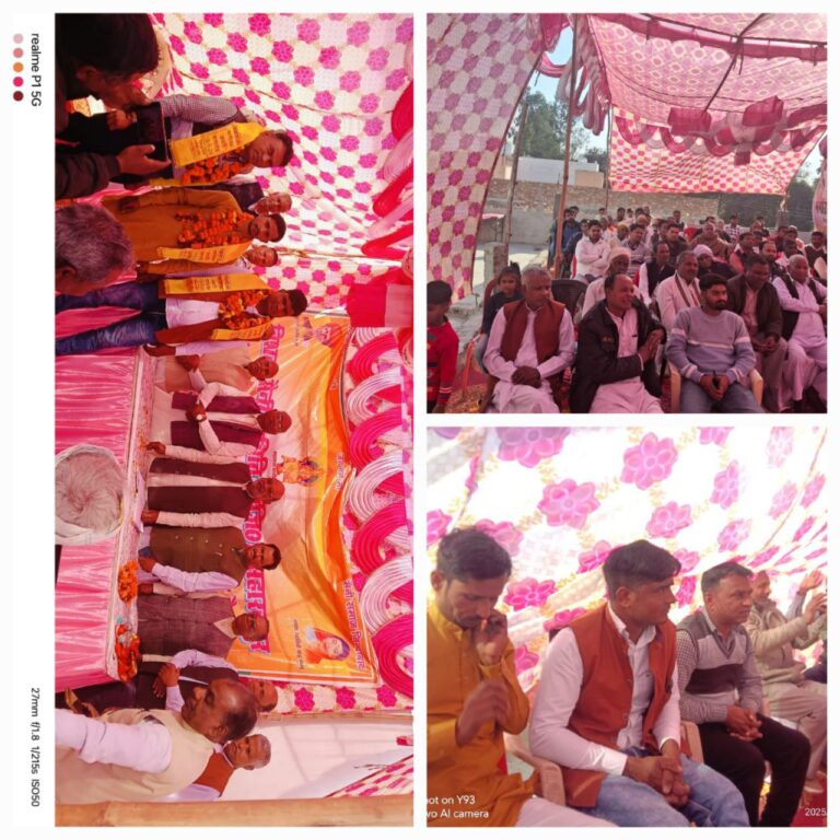 IMG_20250213_113151_024