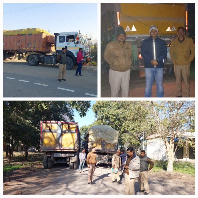 IMG_20250213_193353_304