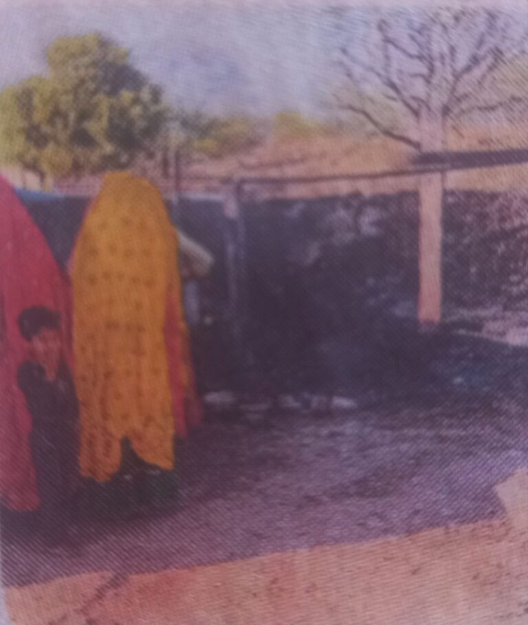 IMG_20250214_130404_867