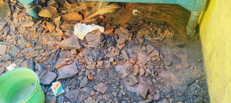 IMG_20250215_170655_805