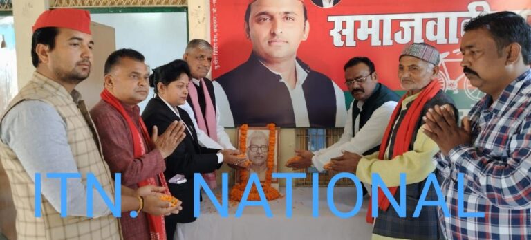 IMG_20250217_192428_502