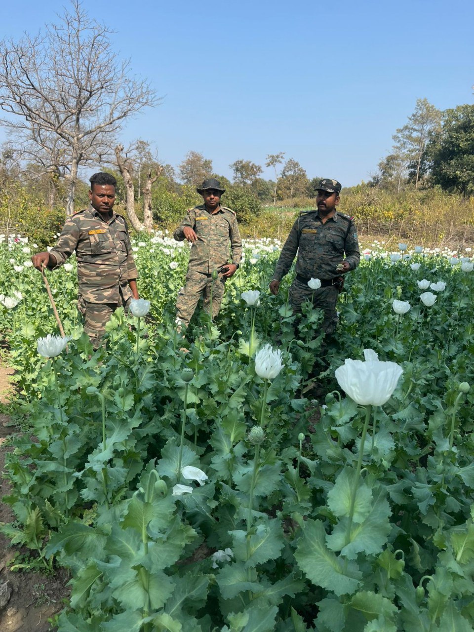 IMG_20250220_100653_232