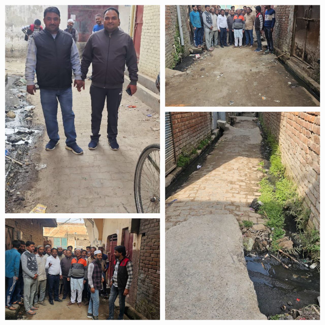 IMG_20250220_111534_342