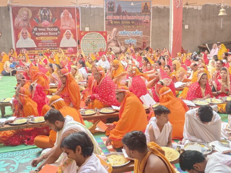 IMG_20250222_200042_380