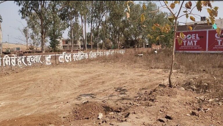 IMG_20250223_133501_112