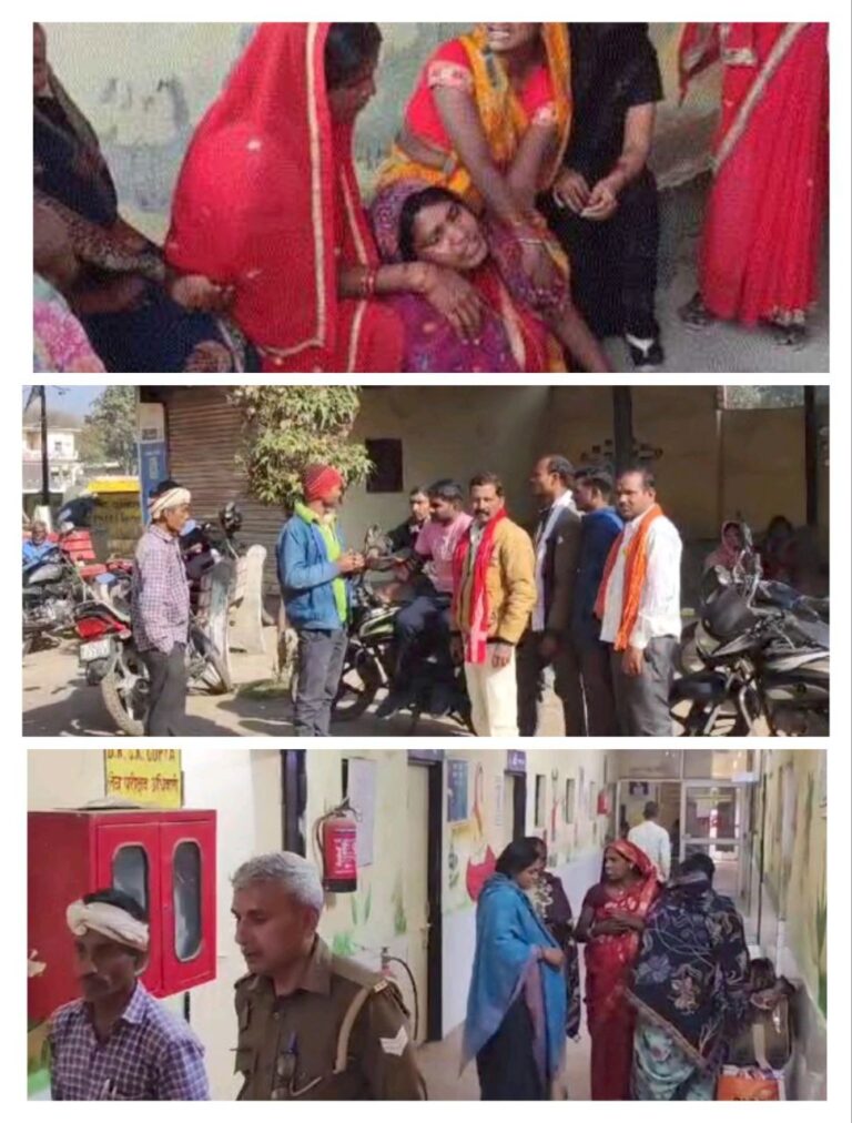 IMG_20250224_185556_528