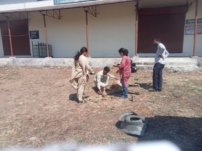 IMG_20250225_124141_405