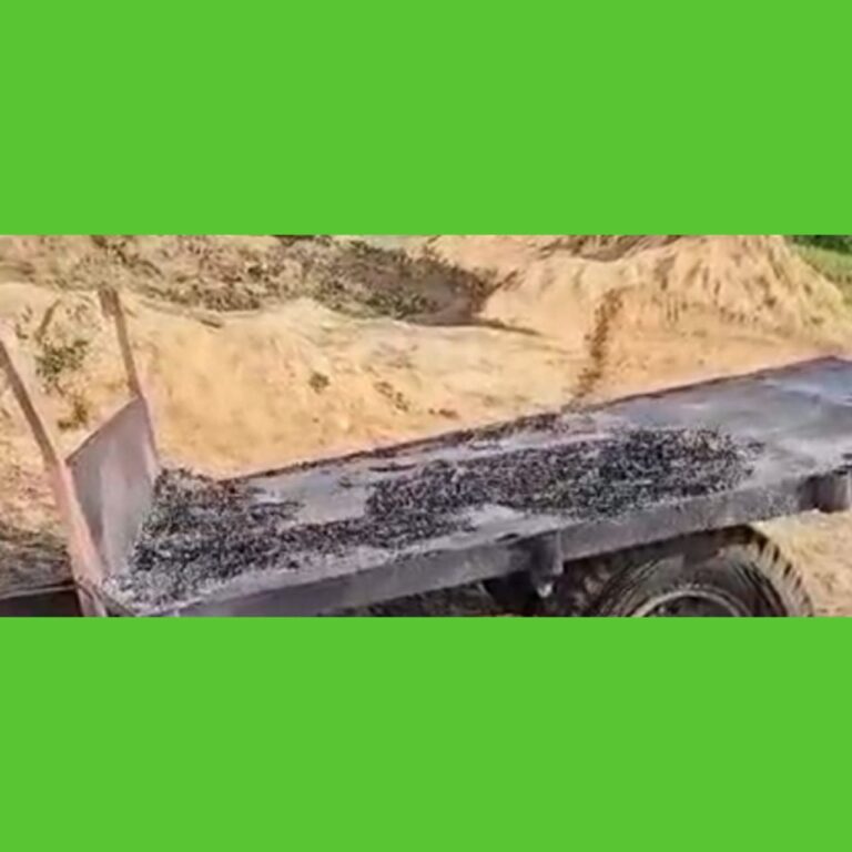 IMG_20250225_124305_460