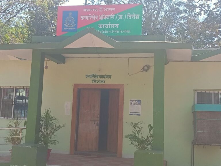 IMG_20250225_204619_564