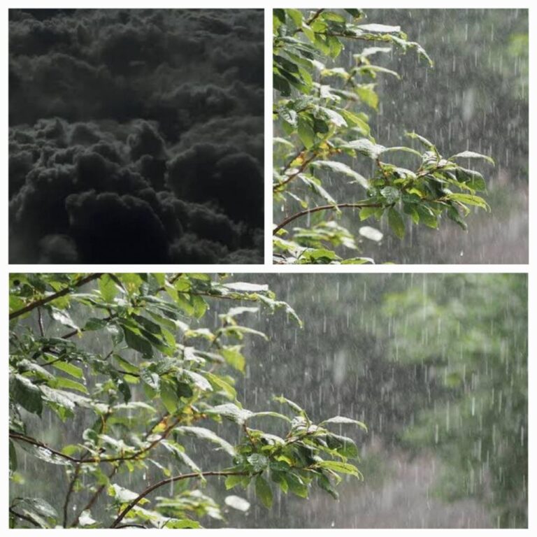 IMG_20250225_210619_446