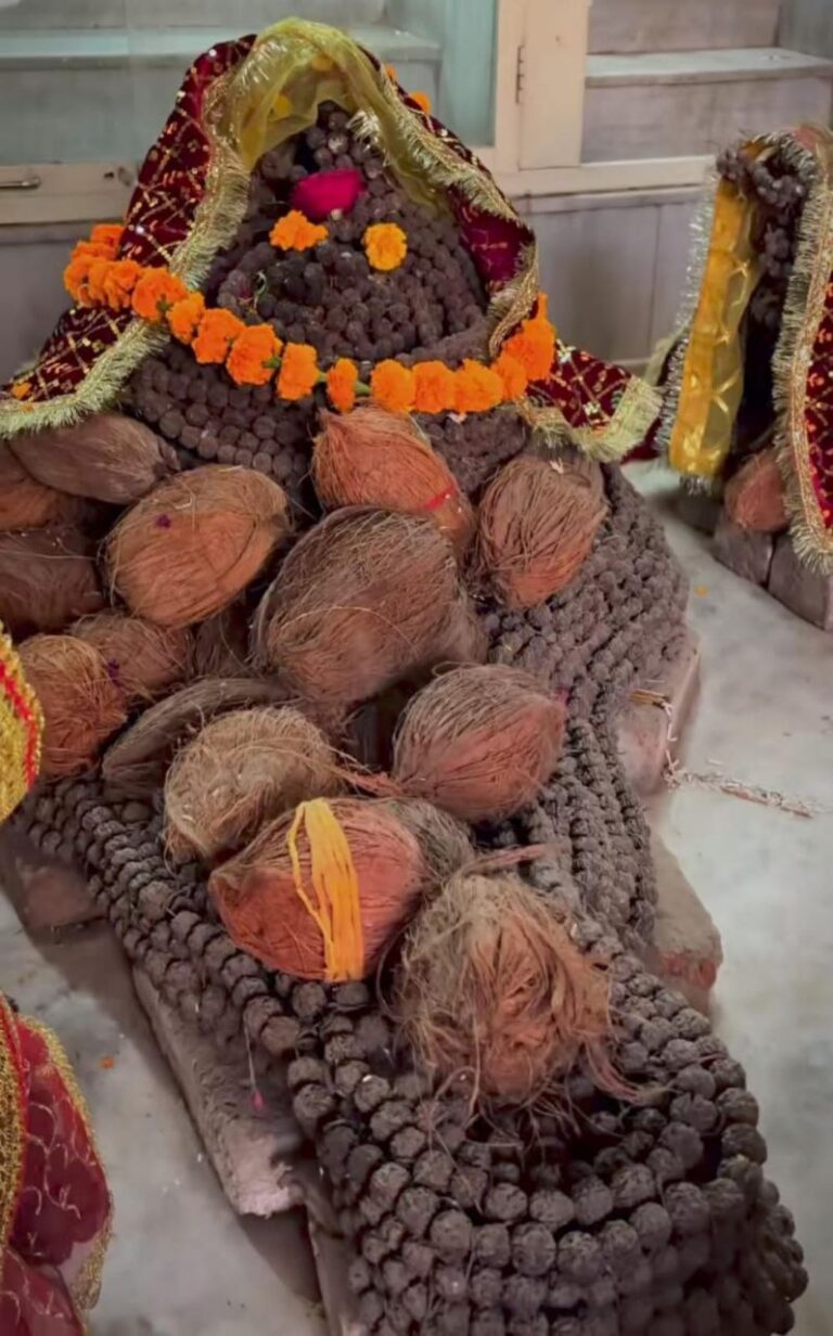 IMG_20250226_193826_917