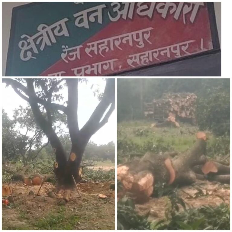 IMG_20250226_210547_988