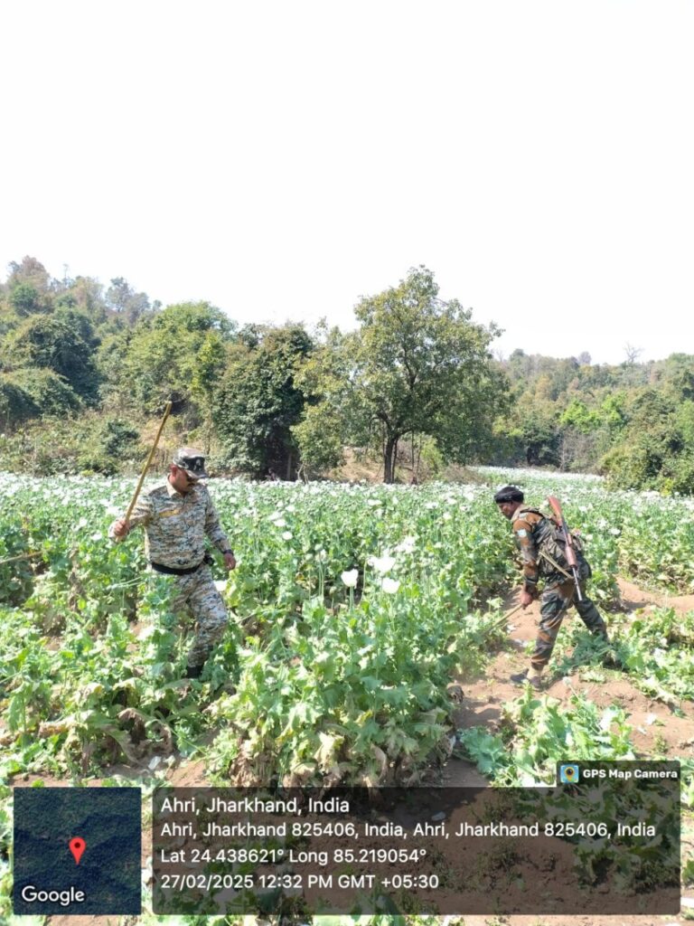 IMG_20250227_203534_863