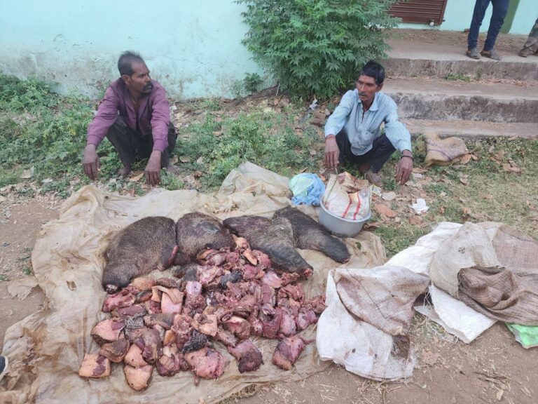 IMG_20250302_154511_064