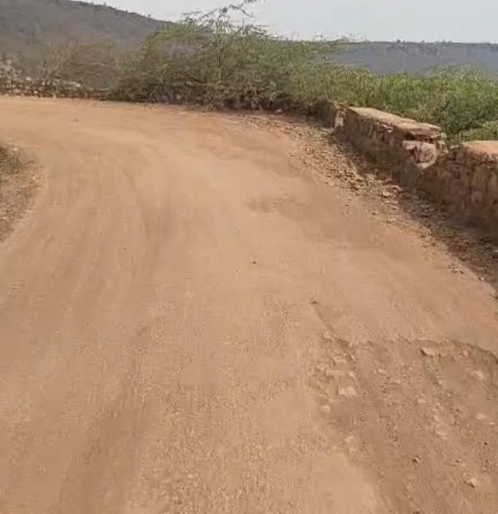 IMG_20250302_155933_861