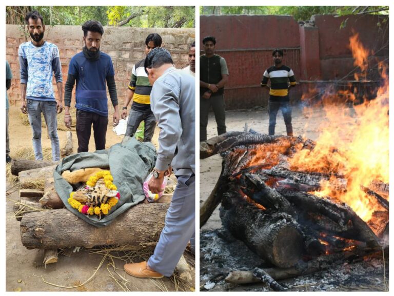 IMG_20250302_201323_422