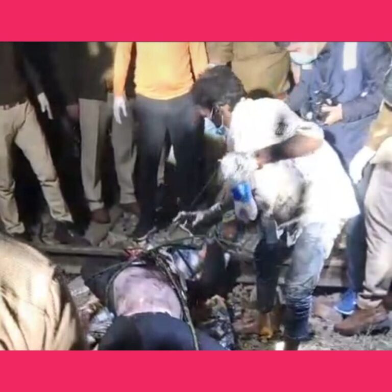 IMG_20250303_123252_119