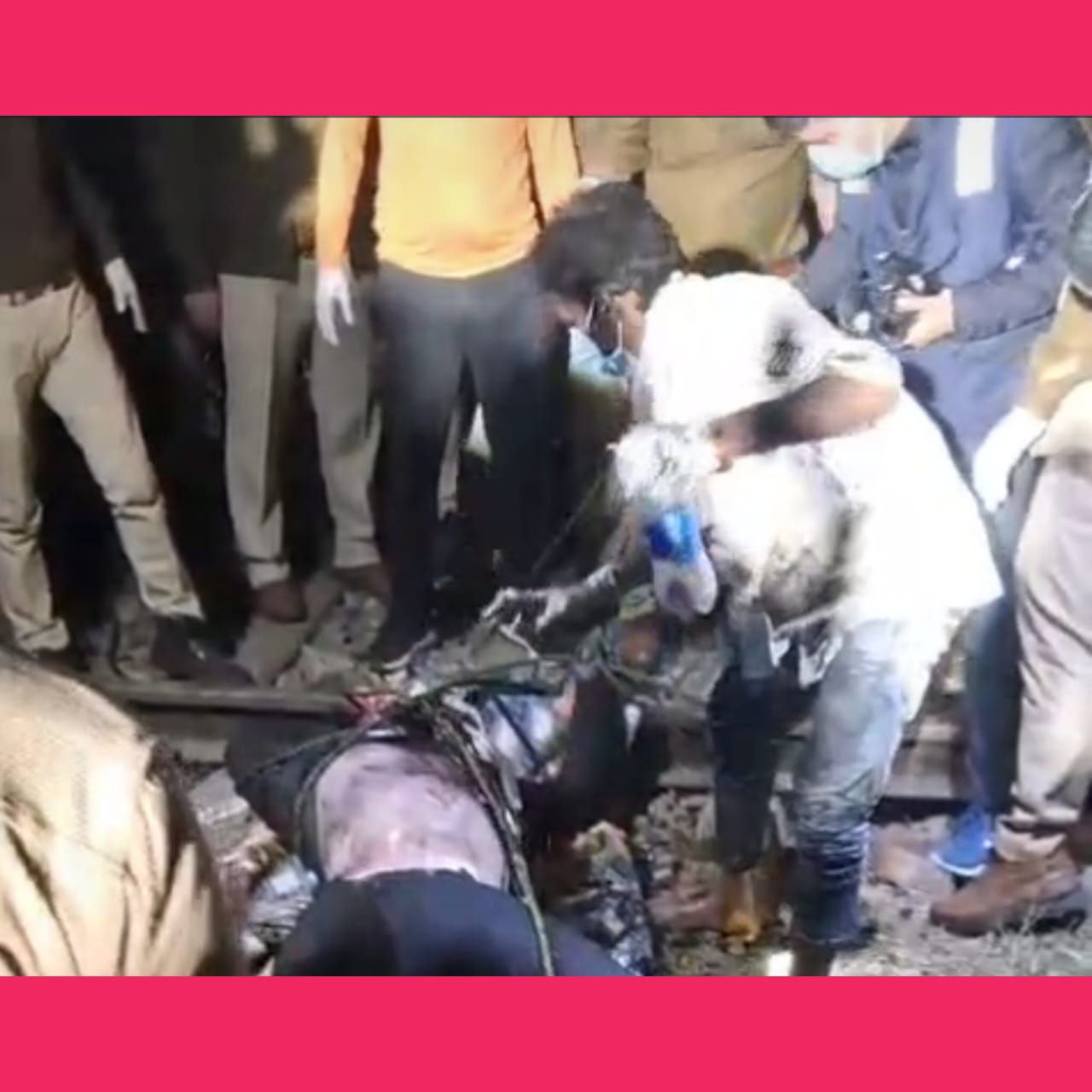 IMG_20250303_123252_119