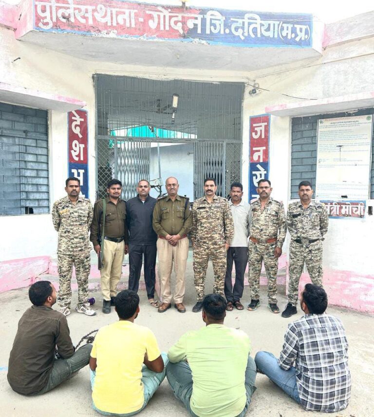 IMG_20250304_200309_983