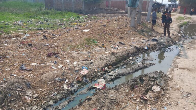 IMG_20250310_140743_911