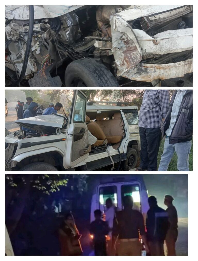 IMG_20250310_173222_831