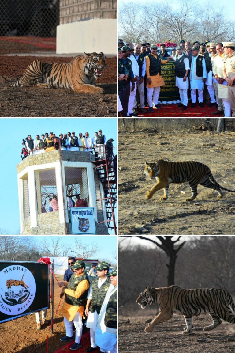 IMG_20250311_125322_643