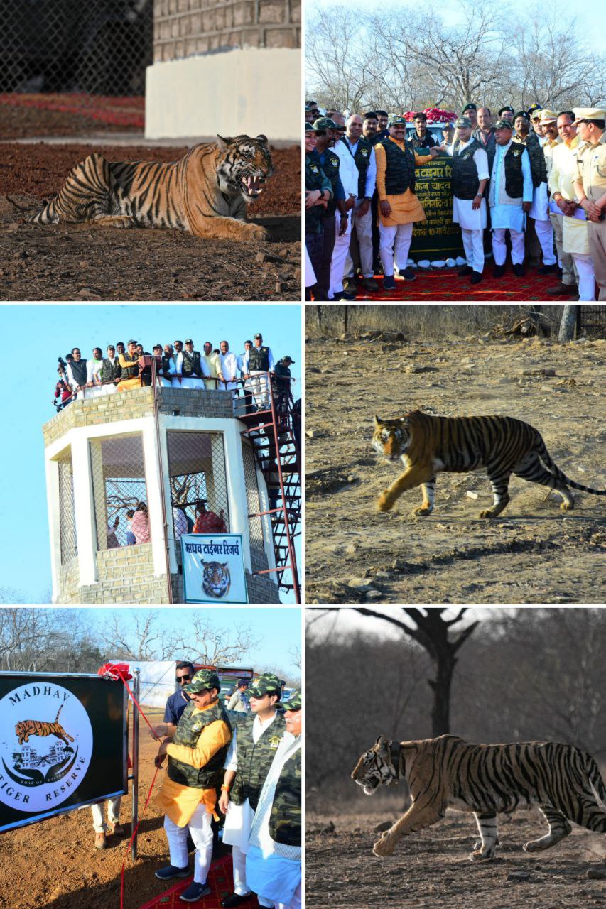 IMG_20250311_125322_643