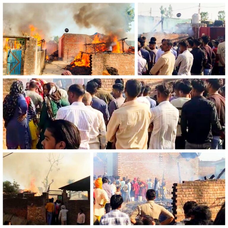 IMG_20250311_171405_136