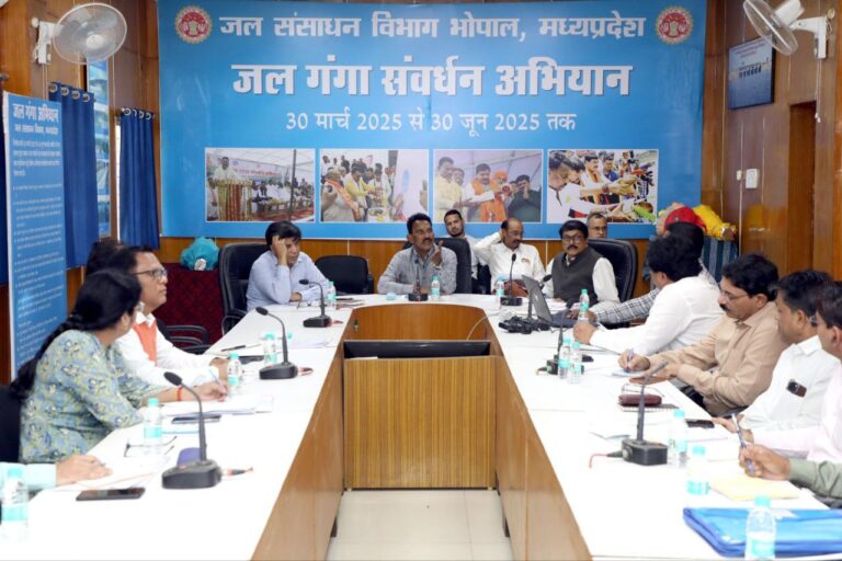 IMG_20250311_194445_941