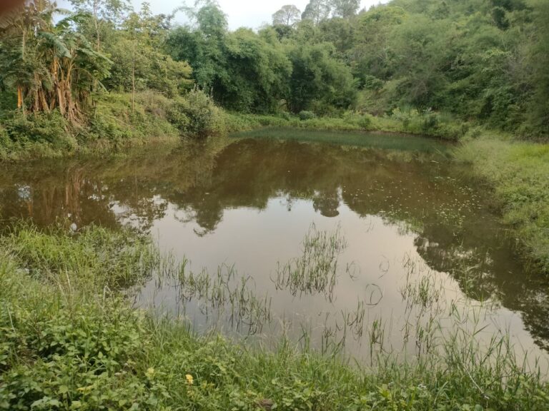 IMG_20250313_175341_774