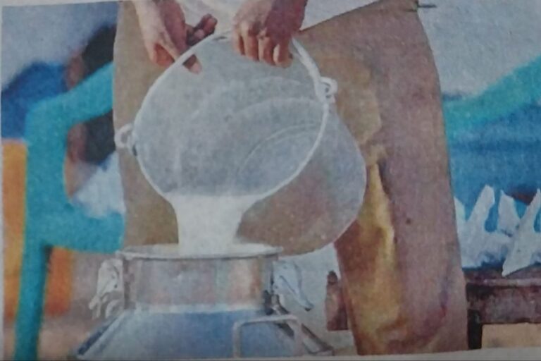 IMG_20250315_131659_114