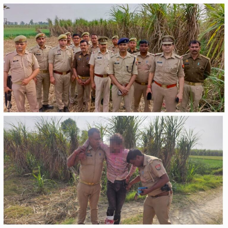 IMG_20250315_142556_311