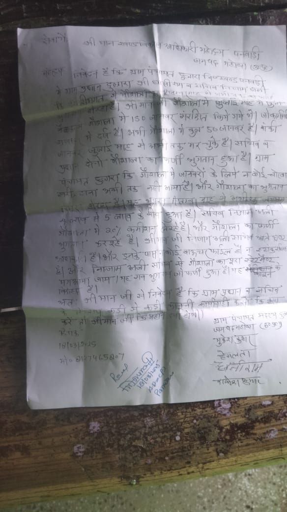 IMG_20250318_182642_822