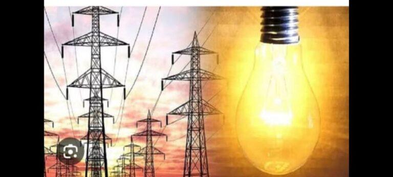 IMG_20250319_114529_674