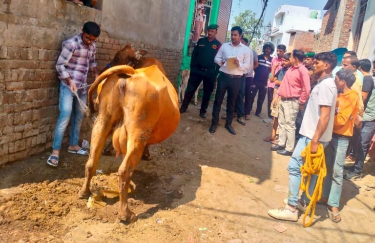 IMG_20250319_180620_377