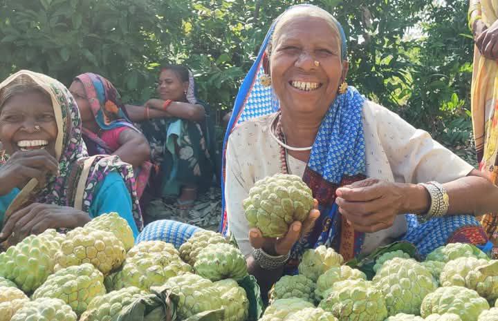 IMG_20250320_090231_732