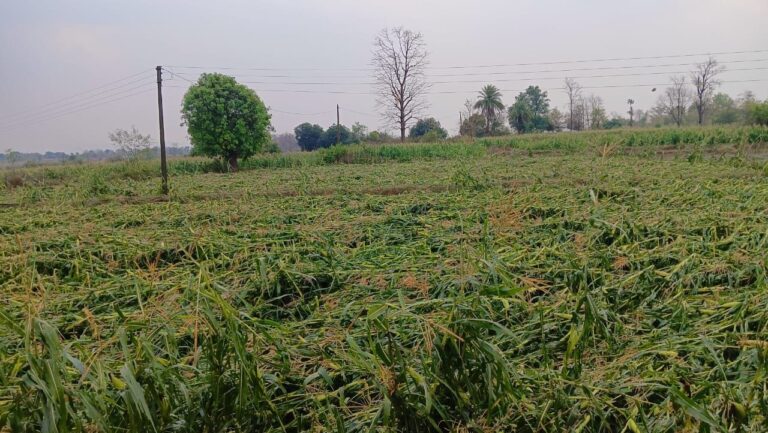 IMG_20250322_113828_285