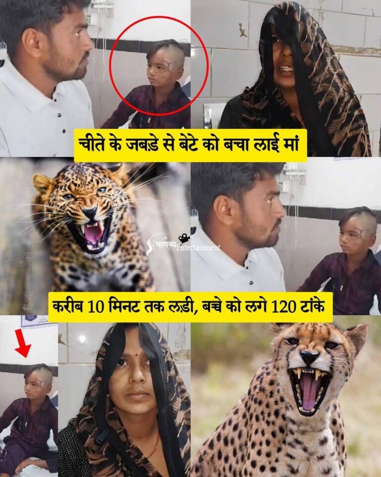 IMG_20250323_220212_382